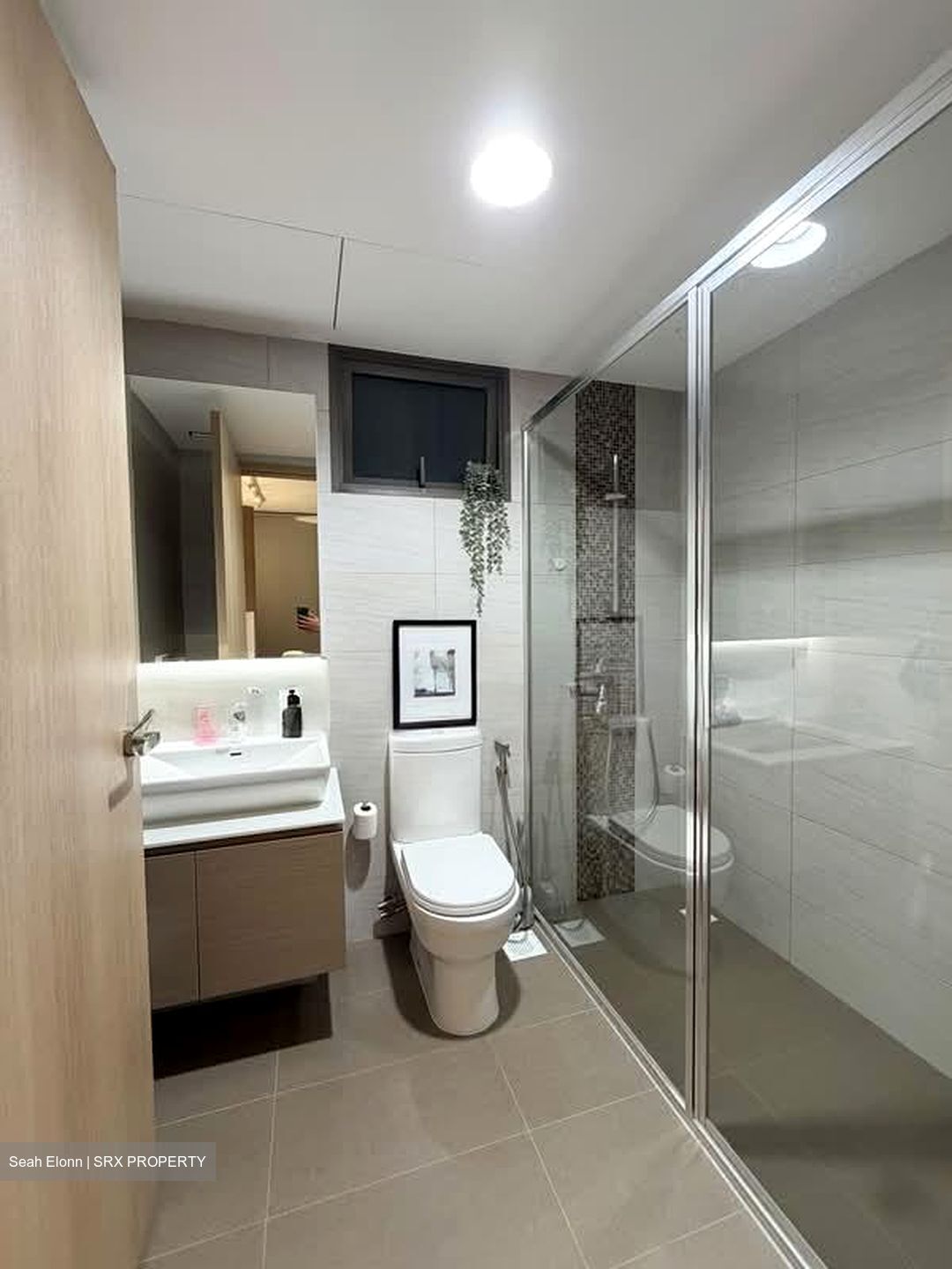 Treasure Crest (D19), Condominium #604810541